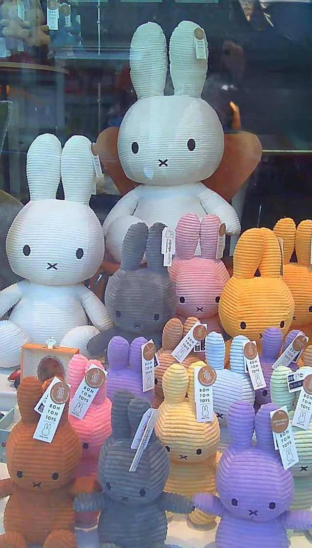 Sample photo taken with the PIXELA camera